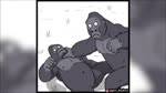 Petfoolery Comics:Gorillas punished with a spankin - Pos 29.028